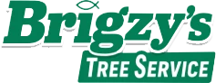 brigzys logo